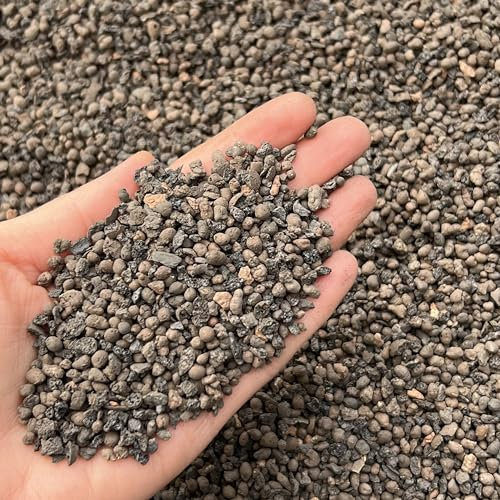 bhomescent Leca Horticultural Grit, Clay Pebbles, Lava rock like, Fine Grade 2-4mm (5L)