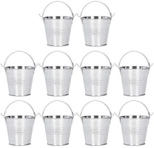 Verdant Touch Fioriera per piante grasse, 10 pezzi, mini vaso per piante grasse, piccolo secchio in metallo per interni ed esterni, decorazione argento lucido, 4 x 5,5 x 6 cm