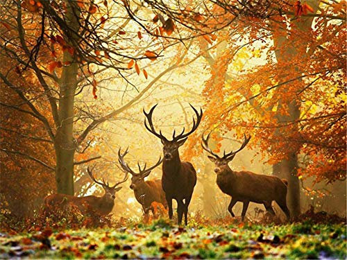 Puzzle 2000 Teile Hirsche im Wald Puzzle Für Erwachsene Und Kinder Ab 14 Jahren 70X100cm(27.55 * 39.37inch)