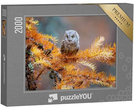 puzzleYOU: Puzzle 2000 Teile „Zwergohreule, Otus scops, eine typische Eule“ – aus der Puzzle-Kollektion Eulen, Vögel, Exotische Tiere & Trend-Tiere