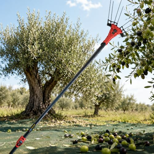 lilishangmao Abbacchiatore Olive Elettrico, Raccogli Frutta Telescopico con Potenza 250W/600W, 6 Livelli Regolabili, Display LED E Cavo 10m per Raccolta Ad Alta Quota 600W-ToolOnly