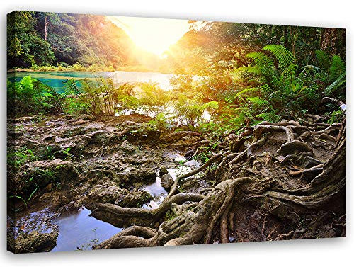 Feeby Bild auf Vlies Leinwand Tropische Natur 40x30 cm Kunstdruck Modern Wandbilder Deko Flur Wohnzimmer Dschungel-Pflanzen Grün