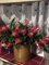 Red Christmas Cactus Schlumbergera Sent Bare Root