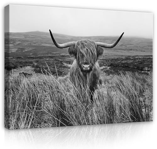 WallArena - Leinwand Bilder - Tiere Hochlandrind schwarz weiß - 100x75 cm Leinwandbilder - Bild auf leinwand - Wandbild XXL groß Wandbilder für Wohnzimmer Schlafzimmer Wohnzimmerbilder Modern