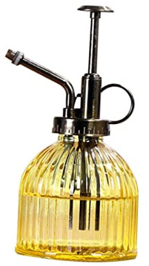 BESPORTBLE Herramientas de jardinería rociador de la Niebla de la Bote de regadera Mini Spray Plantas de Interior decoración regadera de Vidrio suculentas Decorar cortadillo