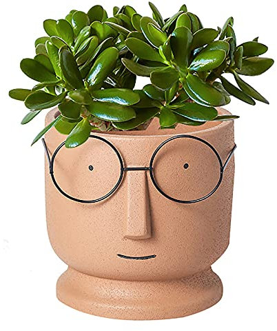 Visage Cache-pot Jardinière Ciment Pots De Fleurs,Petit Céramique Succulente Pot,Créatif Lunettes Visage Pots De Plantes Pots De Cactus Pour Accueil Bureau Mariage Décor-Orange 10x10x12.4cm(4x4x5inch)