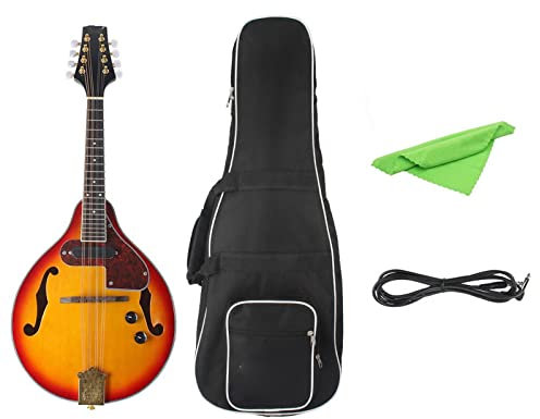 String Instrument Eight-string Mandolin National Musical Instrument Electro-acoustic Mandolin Mandolin Instrument