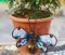 Betley Butterfly Glass Wing Insect Pot Hanger - Plant Pot Hanger Hanging Garden Ornament Art - Handmade Insect Decoration for Flowers (HoneyBee)