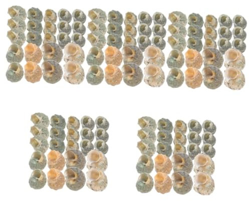 POPETPOP 5 Juegos Concha Plantas Artificiales para Acuario Exterior Cangrejo Tanque Decoraciones Fertilizante para Plantas De Acuario Retro Medusa Pequeña Bomba De Aire Pecera 200 Uds * 5