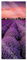 Pixxprint Glasbild Panorama, Wandbild aus Echtglas, Wunderschöne Lavendel Provence, 100x40 cm, inkl. Aufhängung und Abstandshalter