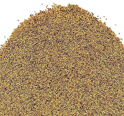 Il Contadino - Antiche Sementi | TRIFOGLIO BIANCO NANISSIMO con RHIZO | Tappeto con foglie molto piccole, Bassa manutenzione, Tagli poco frequenti, Abbastanza resistente all'ombreggiamento (500g)