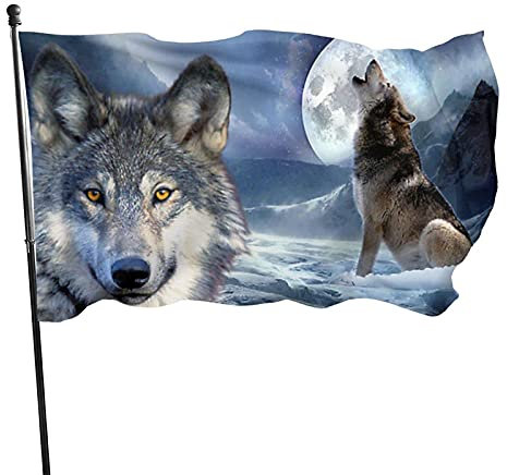 Garten Flagge auf der Mondnacht Flaggen mit öse Perfekte Dekorationen Flagge für Haus, Hof, Veranda, Dekoration 90x150 cm
