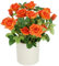 Wildröschen im Topf 32cm Deko Kunstblume Rosen Kunstrosen Wildrosen Kunstpflanze Blumen Künstliche Seidenblume Hochzeitsdeko Blumenstrauß Tischdeko Blumendeko Dekoblume Topfblume Topfpflanze, orange