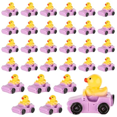 Tinoaly 30 Stück Miniatur Enten, Lila und Gelb Kunstharz Winzige Entenfiguren Lustig Kleine Entenfiguren Süß Schwimmenten Mini-Auto-Enten-Dekoration für Zuhause Büro Garten