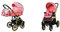 BabyLux Color Lux 2-in-1 Baby Kinderwagen Tief und Kinderwagen mit Zubehör Verstellbar und faltbar Aluminiumkonstruktion Wasserdichte Nicht abnehmbare Räder Pansies And Roses Gold Frame