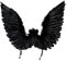 Funidelia | Alas de ángel negras para mujer Navidad, Belén de Navidad - Accesorios para adultos, accesorio para disfraz - Negro
