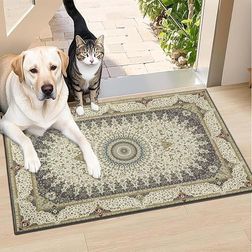 BedLooms Washable Door Mats Indoor & Outdoor - Non-Slippery Heavy Duty Front Door Mat - Stylish & Perfect Dust Grabbing Doormats - Super Absorbent Entrance Mat (Willow Grey, 40cm x 60cm)