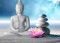 ZHXXFD 5D Diamond Painting 30X40Cm Orchidee Buddha Full Bilder Runde Steine Crystal Strass Diamond Stickerei Set Kreuzstich Mosaik Für Kinder Anfänger Frameless
