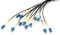 DIGITUS DK-2A33CU050BK-BBB – Glasfaserkabel OS2 – 50 m – LC (UPC) zu LC (UPC) – 12 Fasern Breakout-Kabel – 1/10 Gbit/s – SM Singlemode Lichtleiterkabel – Faser: G.657.A1 9/125 µ – Schwarz (Black)