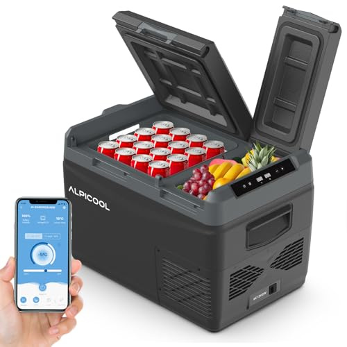 Alpicool KLS38 Nevera para Auto 31L con APP, Frigorífico Portátil Eléctrico de Doble Zona 12/24V DC 100~240 V AC, Nevera Portátil para Camiones, Viaje, Picnic, -20℃-20 ℃, con Compartimento para Hielo