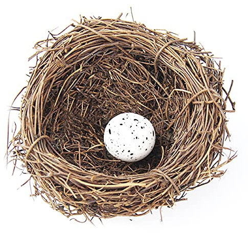 Nid d'oiseaux artificiels, nichoir à oiseaux, jardin, nature, artisanat, faux nid d'oiseau vintage, cage à oiseaux créative pour Pâques, décoration printanière, vitrine (8 cm)