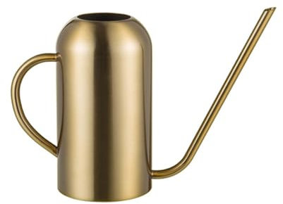 Kisangel 1 Pc arrosoir en INOX Bouilloire d'arrosage en Acier Inoxydable Pots de Fleurs extérieurs Bouteilles d'eau en Acier Inoxydable Bouilloire en Acier Inoxydable arrosoir de Jardin