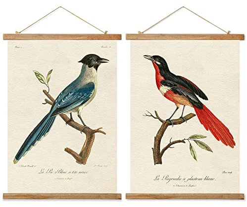 Ovfovy 2 Stück Vintage Vögel Poster, rustikale Raumästhetik, Retro-Wandkunstdrucke ohne Verblassen, gedruckt auf Leinen mit Holzrahmen, fertig zum Aufhängen
