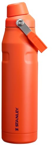 STANLEY IceFlow Fast Flow Bottle, 36 oz, Tigerlily Plum | Angled Spout Lid | Lightweight and Leakproof for Travel and Sports | Easy Carry Handle | Insulated Stainless Steel | BPA-Free