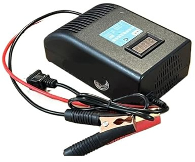 BACYDLPL Chargeur 12v 40A 24V 20A 35A 14,6V 40A 20A 12,6V 40A 16,8V 35A 29,2V 29,4V 25,2V(12V Lead CID 40A)