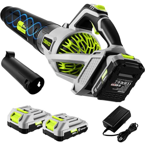 DEKOPRO Soffiatore per Foglie Senza Filo 20V, 2 Batterie 2,0 Ah e Caricabatterie, 3 Velocità, 169km/h, Soffiatore da Giardino per Giardini, Viali, Pulizia Foglie Cadute e Neve Leggera