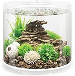 TUBE 15 Aquarium with Multi Colour LED light - remote control