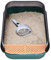 Pfotenolymp Katzentoilette - offenes Design - Klumpstreu-Katzentoilette mit auslaufsicherem Design und verlängerter Trittfläche - Cat Litter Box Geeignet für Katzen bis 3,6 kg - Dunkelgrün