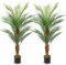 Lot de 2 plantes artificielles de 120 cm - Palmier areca - Grand en pot - Avec 12 troncs - Pour l'intérieur et l'extérieur - Décoration moderne - Salle de bain, salon, chambre à coucher