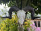 Wall Sculptures Ram, Sheep Animal head Ornament Hanging Skeleton art decoration Wall Skull gothic Home Decor for living room, Kitchen Decorative Accessories, Outdoor Garden Balcony Fence Ornaments