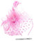Malaxlx Rosa Fascinator Hut Blume Mesh Federn Haarschmuck Haar Clip Stirnband Tea Party Hochzeit Derby Cocktail Kopfbedeckung Headwear für Damen Mädchen