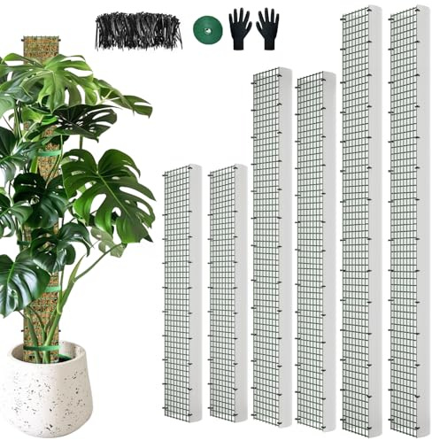 HOLANHING 60/40/24 Metal Moss Pole, D Shape Sphagnum Moss Pole, Moss Poles for Climbing Plants, Monstera, Indoor Climbing Plants (2 Each of 60 40 24)