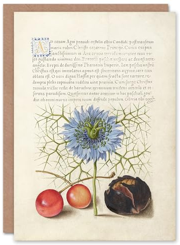 Artery8 Model Book of Calligraphy Art Card Love in a Mist and Cherries