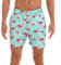 HLVEXH Hommes Séchage Rapide Maillot de Bain avec Doublure en Maille Short de Surf Flamant Rose Vert L