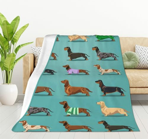 HGOD DESIGNS Hundedecke, süßes Dackel-Hundemuster, Decke für Damen, Fleece-Dackel-Decke, Dackel-Druck, flauschige Dackel-Decke, Überwurf (127 x 152,4 cm)