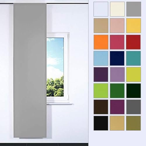 Rollmayer SCHIEBEVORHANG FLACHENVORHANG SCHIEBEPANEL SCHIEBEGARDINE Vorhang RAUMTEILER 60 x 200 cm Kollektion Vivid (Silbergrau 31, Klettband + Paneelwagen)