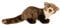 Uni-Toys - Steinmarder - 40 cm (Länge) - Plüsch-Marder - Plüschtier, Kuscheltier