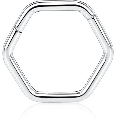 AROWRO 16G Hexagon Septum Nase Conch Ring Daith Helix Piercing Schmuck Chirurgenstahl Clicker Knorpel Tragus Rook Ohrring 10mm Silber
