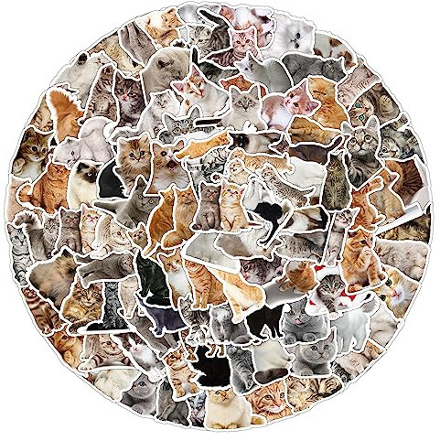 100PCS Cartoon Cat Stickers - Vinyl Skateboard, Guitar, Door, Laptop, Luggage, Car, Bike, Water Bottle, Birthday Party Supplies