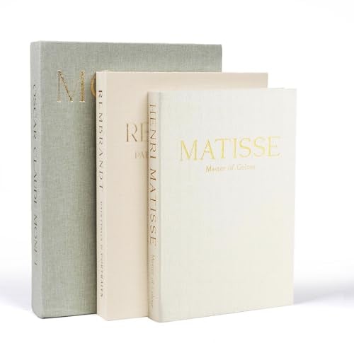 Tefola Deko Buch Aufbewahrungsbox -Dekoratives Buch, gestapelte Kunstbücher, modische gefälschte Buchbox, keine Seiten, künstliches Bürodekor-Buch mit Stauraum (3-teilig)