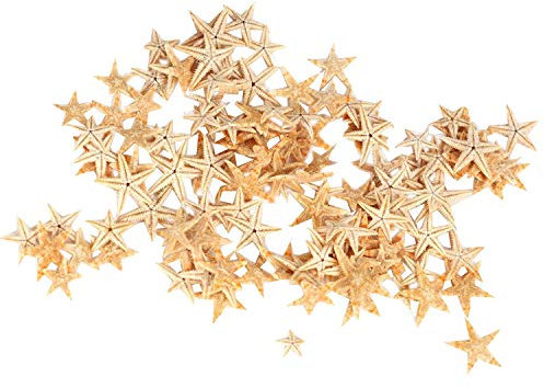 Ogquaton Kleine Seesterne Star Sea Shell Beach Craft 0,4 Zoll-1,2 Zoll 90 Stück Neu Freigegeben