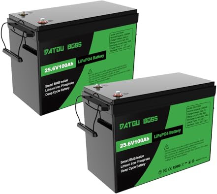 DATOUBOSS 2*Batteria al litio a ciclo profondo 24V 100Ah LiFePO4,BMS integrato 100A, batterie ricaricabili 8000+ cicli, potenza massima di carica 2560W, per RV/Camping-car, solare, barche