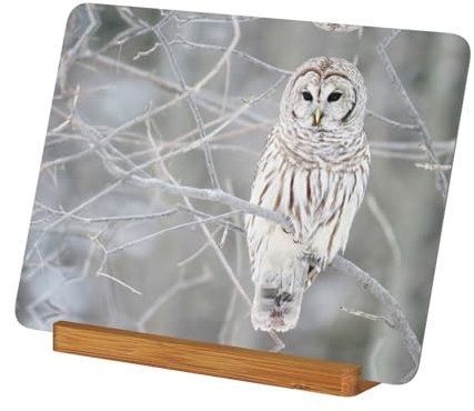 Bilderrahmen mit Eulen-Motiv, wetterfest, langlebig