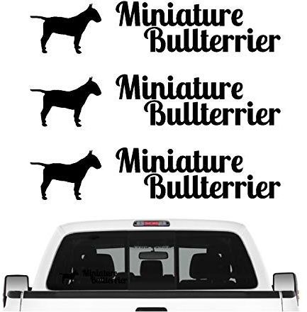 siviwonder Miniature Bullterrier Mini Bully Aufkleber 3er Set Hundeaufkleber Hundemotiv Folie Farbe Schwarz, Größe 10cm