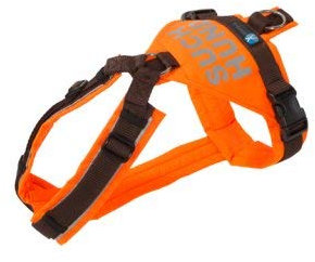 annyx - Suchhund-Geschirr - m - orange