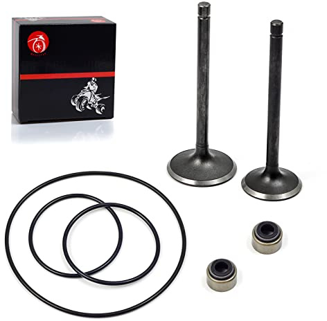 MOTO1988 Vanne d'admission d'échappement compatible avec Yamaha Warrior 350 Raptor 350 Grizzly 350 Wolverine 350 Bruin 350 Big Bear 350 400 Kodiak 400 1UY-12121-01-00 1UY-12111-01-00